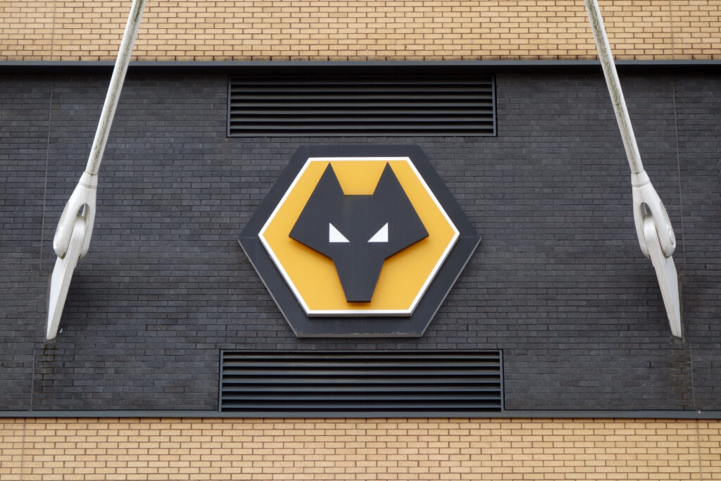 Wolves Boost Attack with Adam Armstrong Signing